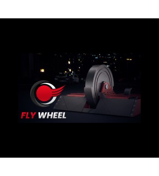 Fly Wheel Steam Key GLOBAL